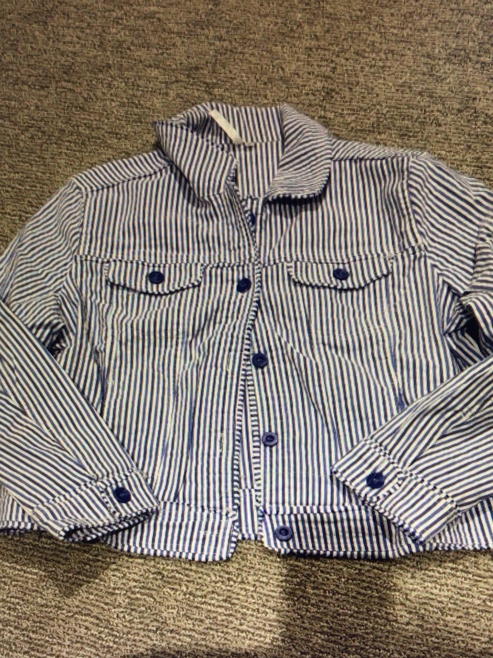 lululemon athletica Blue and White Striped Jacket